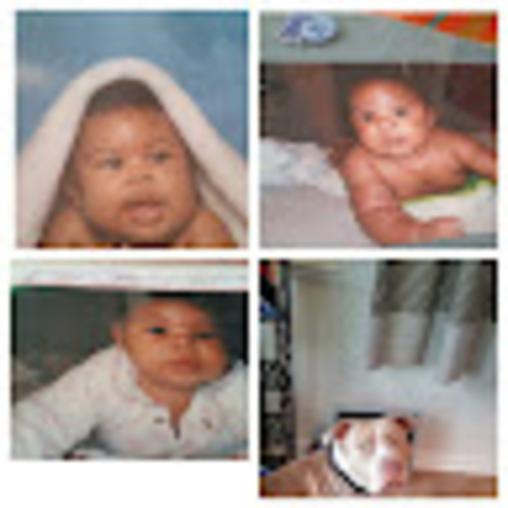 Meet your Posher, Tracie